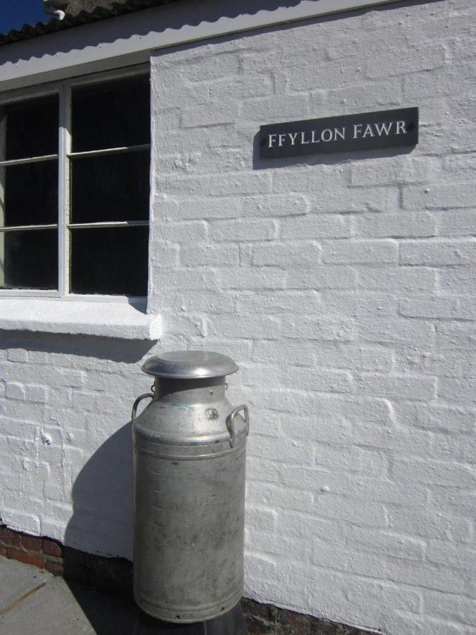 Villa Ffyllon Fawr à Henfynyw Upper Extérieur photo